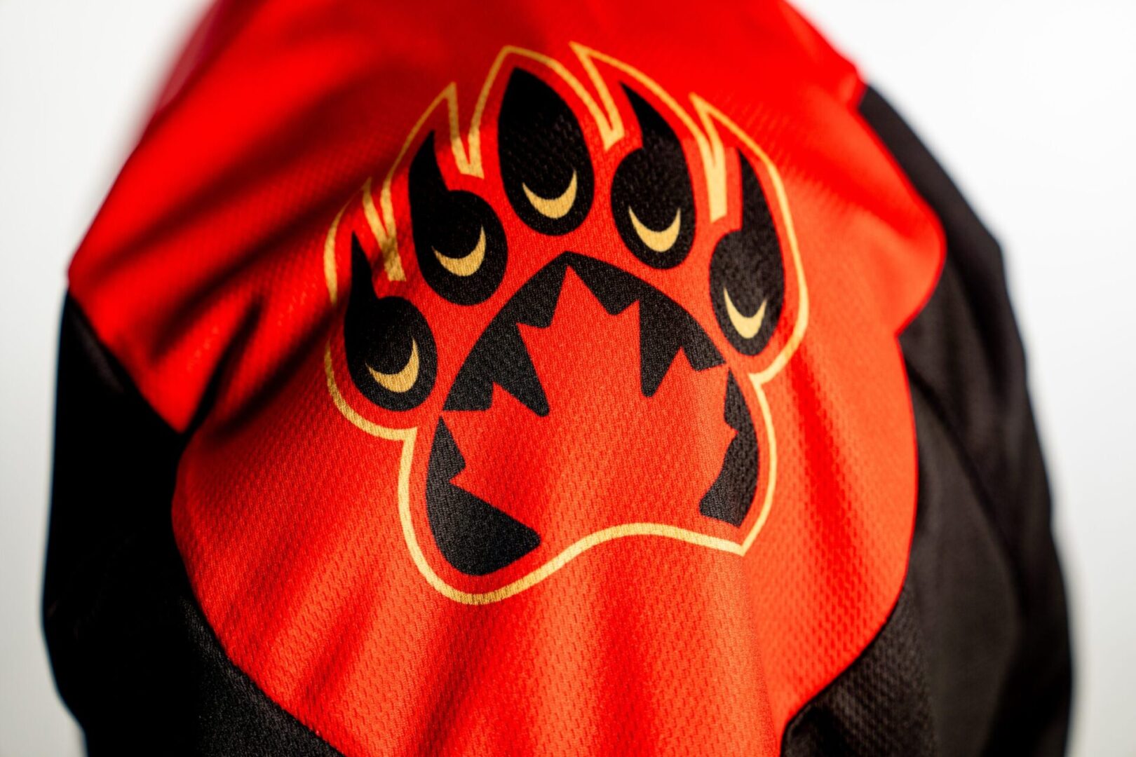 2024-nll-draft-recap-ottawa-black-bears