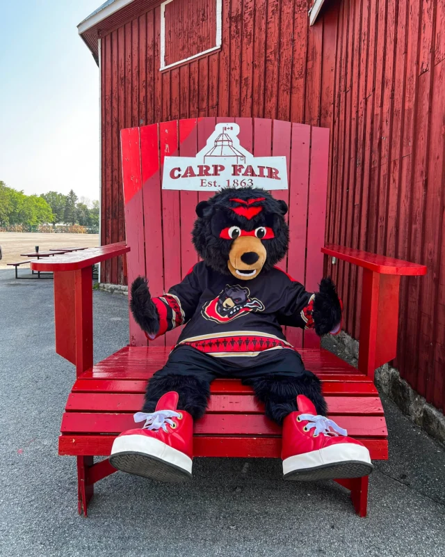 Bear sighting 👀 … at the Carp Fair chair 🎡

Who’s going this weekend? 🙋

@ottblackbears @carpfair #bearwitness